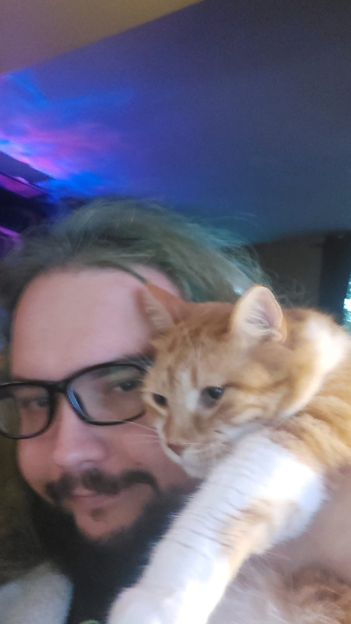 A man with green hair and a beard sits in a computer chair and holds an orange cat at eye level, Photo 1